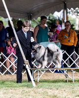 2023 Waukesha County Kennel Club  Dog Show - Saturday 7/29