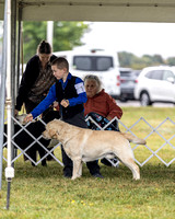 2023 Paper Cities Kennel Club Dog Show - Sunday 9/10